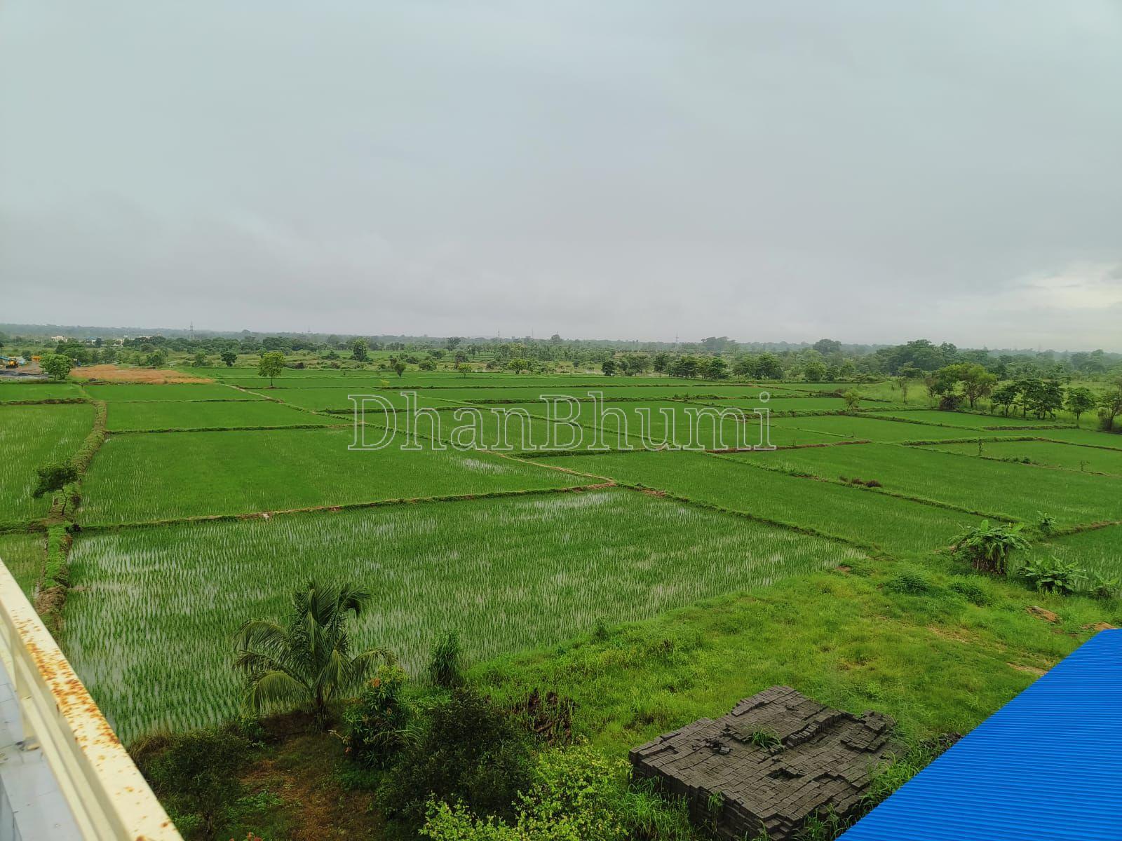 property_images/agricultural_in_bargarh_1782121193_6a3902e9c6cef.jpeg