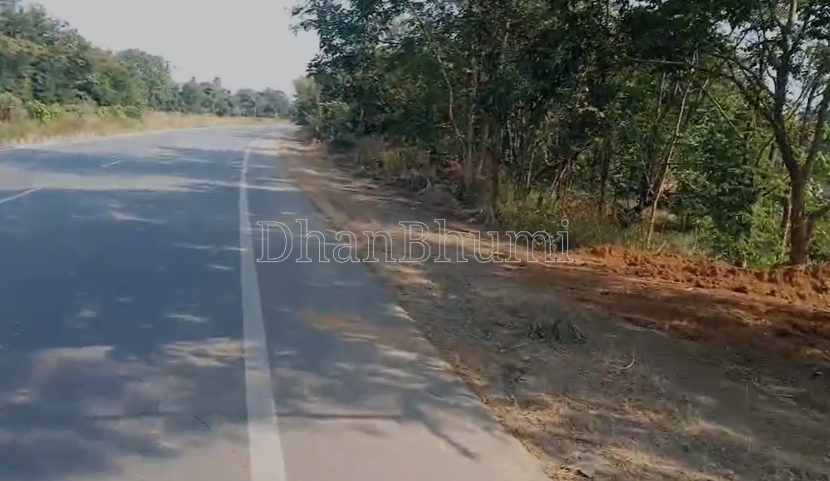 property_images/agricultural_in_bargarh_1783927839_6a54941f97c0f.png