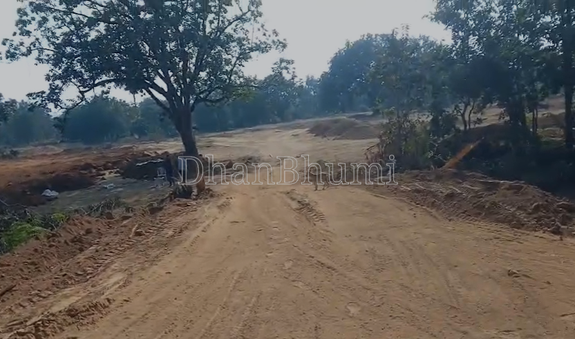 property_images/agricultural_in_bargarh_1783927839_6a54941fd77df.png