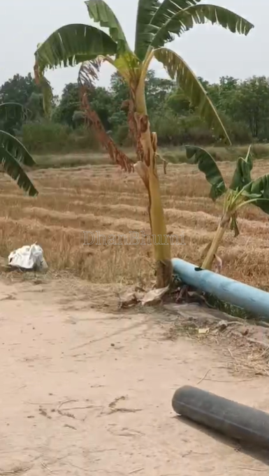 property_images/agricultural_in_bargarh_1783928268_6a5495cc69d7c.png