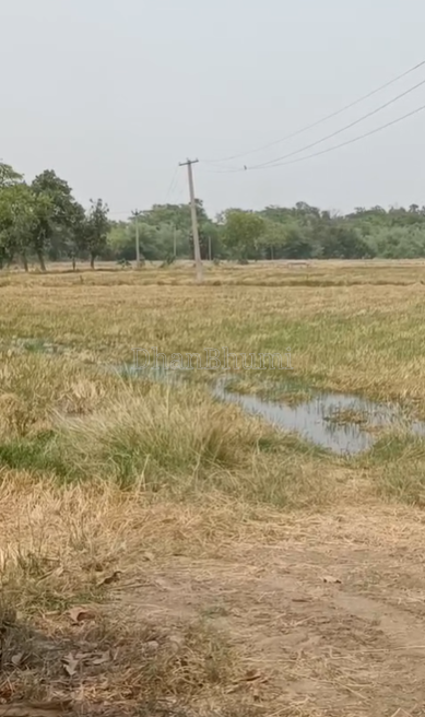 property_images/agricultural_in_bargarh_1783928268_6a5495cc97c52.png