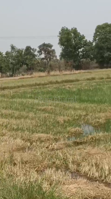property_images/agricultural_in_bargarh_1783928268_6a5495cccedb8.png