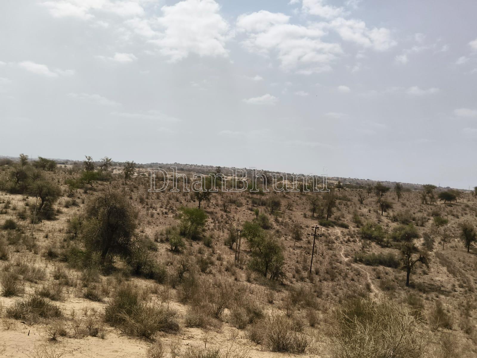 property_images/agricultural_in_barmer_1782128951_6a3921374a838.jpeg