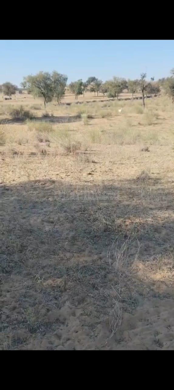 property_images/agricultural_in_barmer_1782281113_6a3b7399e553a.jpeg