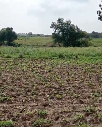 property_images/agricultural_in_barnala_1784806587_6a61fcbbaf792.png