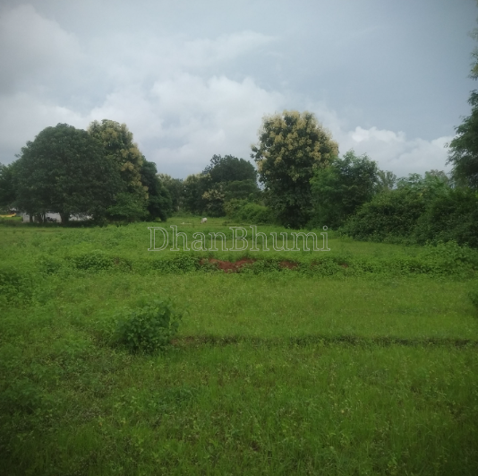 property_images/agricultural_in_barwani_1790662020_6abb558458686.PNG