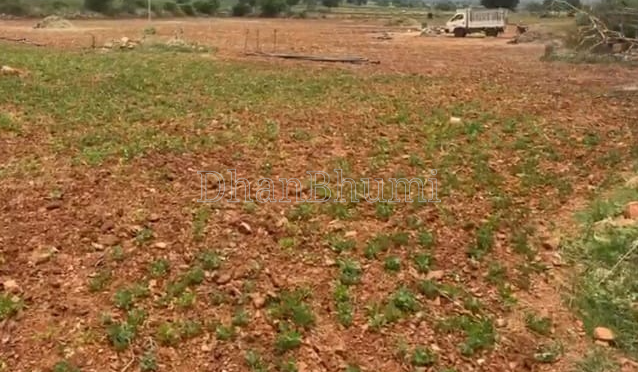 property_images/agricultural_in_bastar_1788590042_6a9bb7da7751a.png
