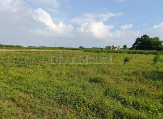 property_images/agricultural_in_basti_1787212199_6a86b1a78cdcd.PNG