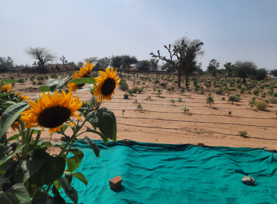 property_images/agricultural_in_beawar_1789537212_6aaa2bbc25569.png