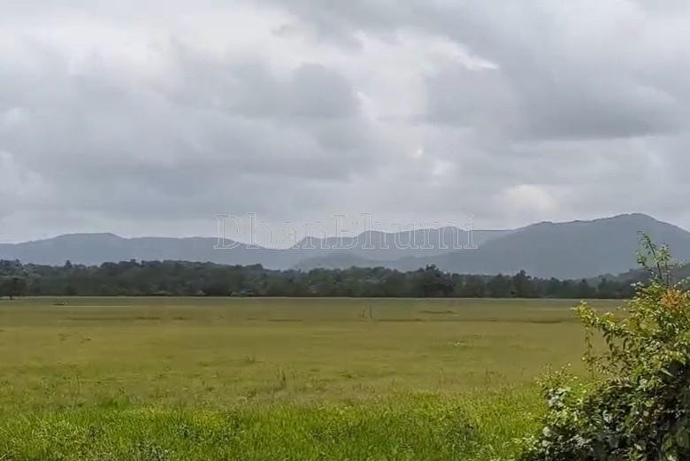 property_images/agricultural_in_belagavi_1781602854_6a311a264c947.jpg