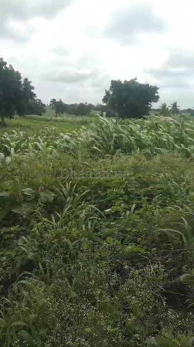 property_images/agricultural_in_belagavi_1786690559_6a7ebbff9bfdb.png