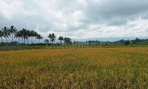 property_images/agricultural_in_belagavi_1786946273_6a82a2e1b019d.png