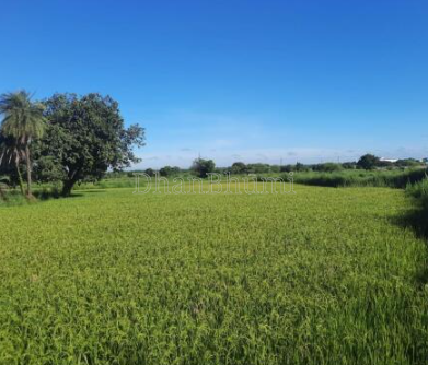 property_images/agricultural_in_bemetara_1789377138_6aa7ba7293f94.png