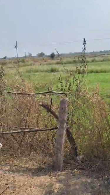 property_images/agricultural_in_bemetara_1790762748_6abcdefc8e46a.png