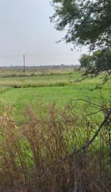 property_images/agricultural_in_bemetara_1790762748_6abcdefcce0f5.png