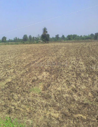 property_images/agricultural_in_betul_1789382741_6aa7d0557ad50.png