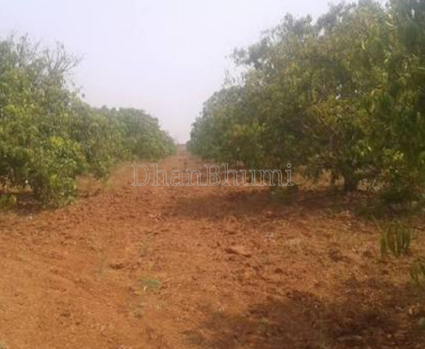 property_images/agricultural_in_betul_1792222204_6ad323fc558f1.png