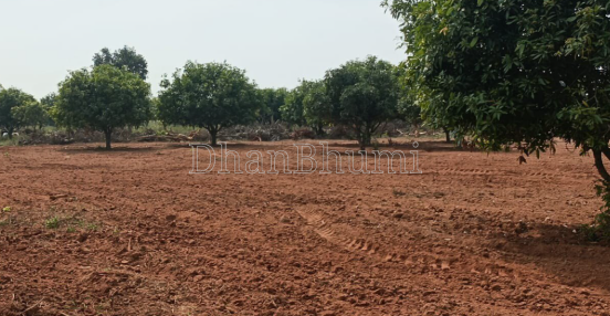 property_images/agricultural_in_betul_1792222424_6ad324d870beb.png