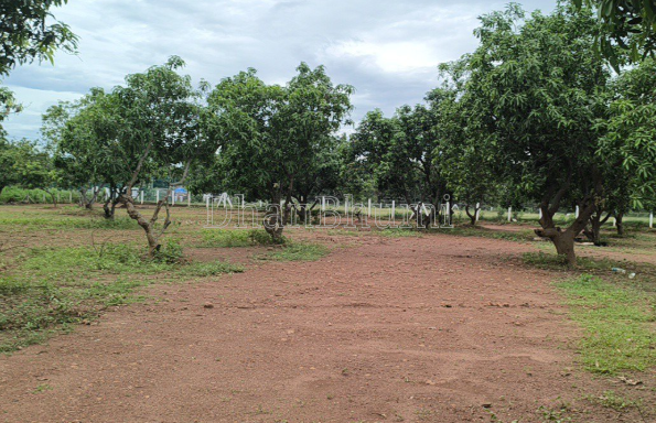 property_images/agricultural_in_betul_1792226470_6ad334a69faf7.png