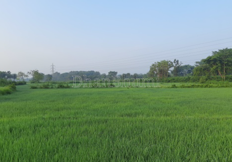 property_images/agricultural_in_bhadohi_1785845228_6a71d5ec6076b.png