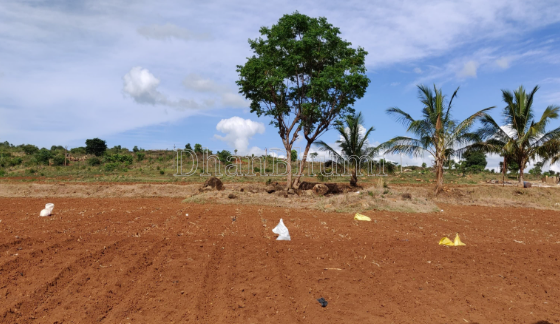 property_images/agricultural_in_bharatpur_1789112444_6aa3b07c1eadb.png