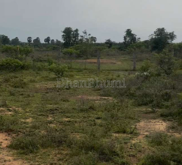 property_images/agricultural_in_bharatpur_1790679371_6abb994b44e52.png