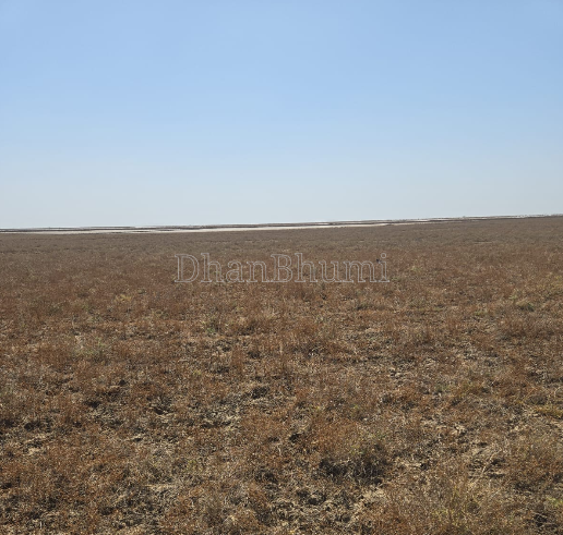 property_images/agricultural_in_bhavnagar_1786357095_6a79a5671ef98.png