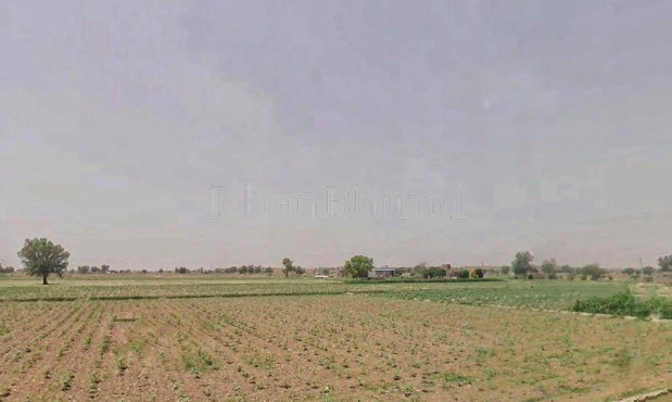 property_images/agricultural_in_bhilwara_1787136261_6a858905505b8.png