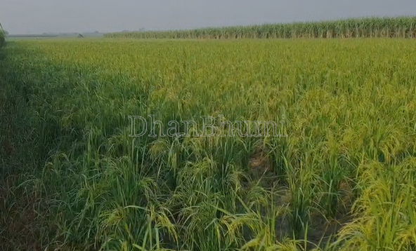 property_images/agricultural_in_bhilwara_1790068636_6ab2479c5070d.png