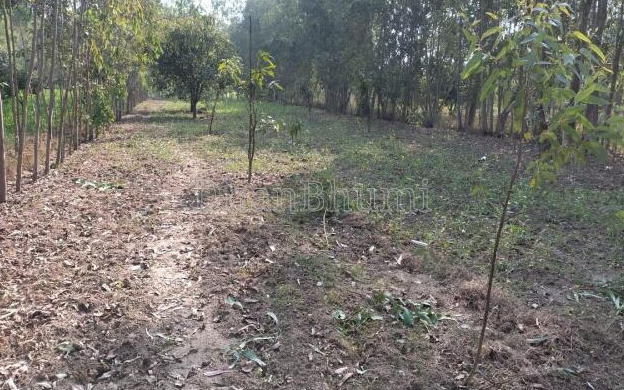 property_images/agricultural_in_bhopal_1780572338_6a2160b2d8f4c.PNG