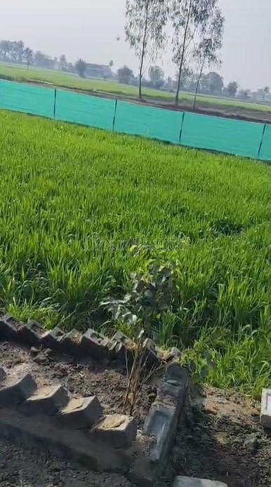 property_images/agricultural_in_bhopal_1782469175_6a3e52379a13a.jpg