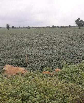property_images/agricultural_in_bhopal_1782470150_6a3e56061966d.jpg