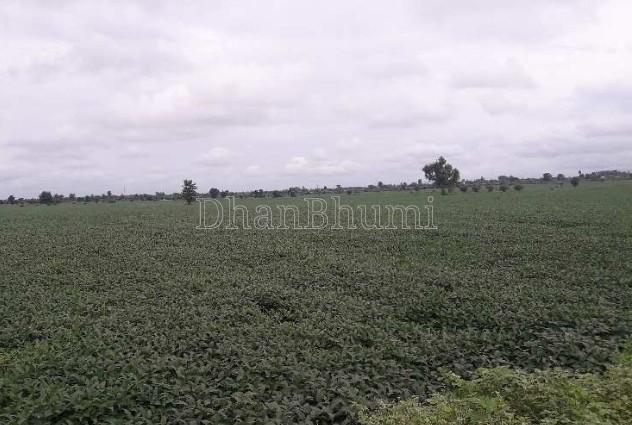 property_images/agricultural_in_bhopal_1782470564_6a3e57a4af0db.jpg