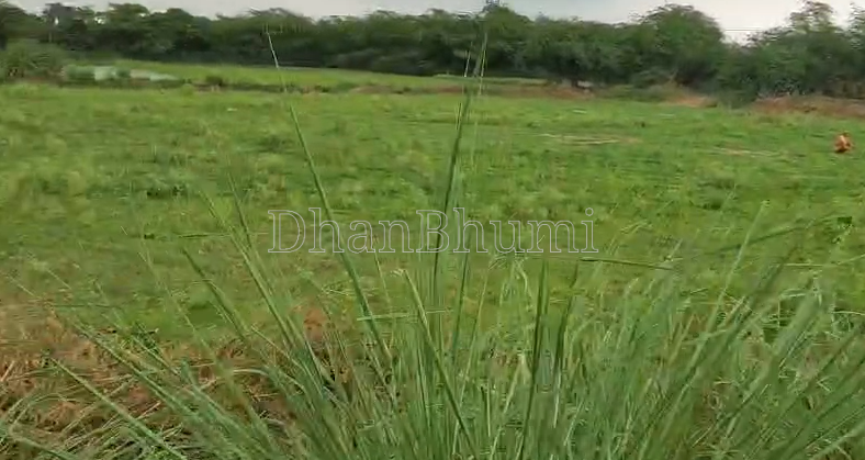 property_images/agricultural_in_bhopal_1785576601_6a6dbc99bb403.png