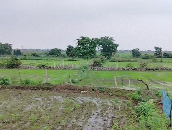 property_images/agricultural_in_bhopal_1785742267_6a7043bbaa428.PNG