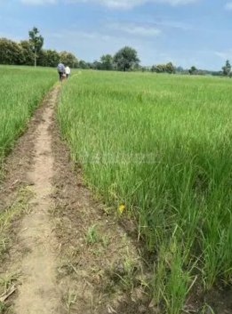 property_images/agricultural_in_bhopal_1786962010_6a82e05a3cca2.png