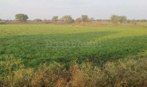 property_images/agricultural_in_bhopal_1787827255_6a90143751d7d.PNG