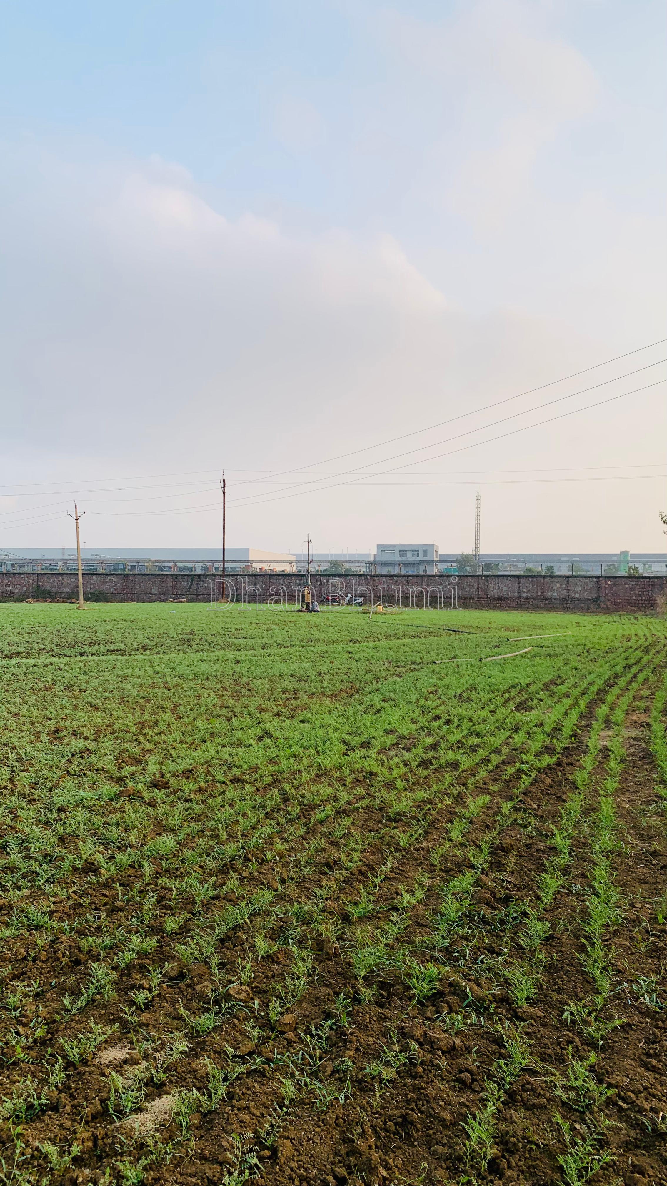 property_images/agricultural_in_bhopal_1790153839_6ab3946fdca12.jpeg