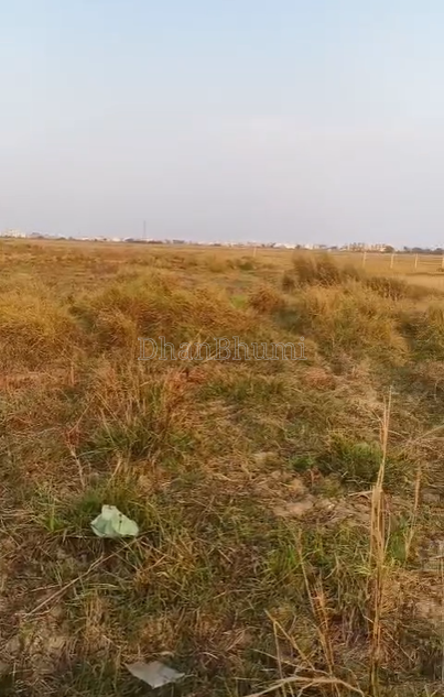 property_images/agricultural_in_bhubaneswar_1784532298_6a5dcd4a70c8e.png