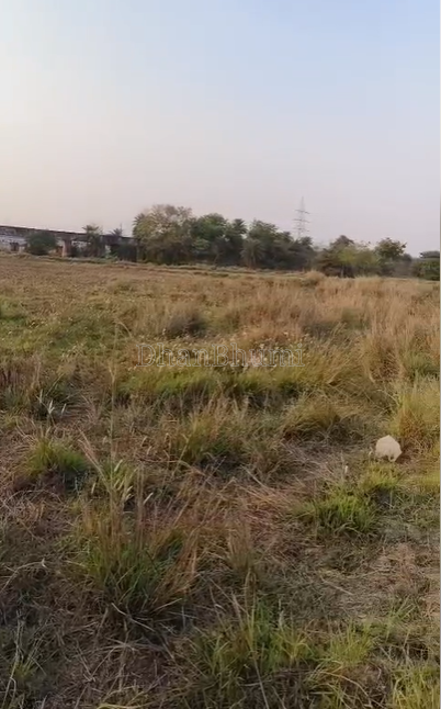 property_images/agricultural_in_bhubaneswar_1784532298_6a5dcd4aa1101.png