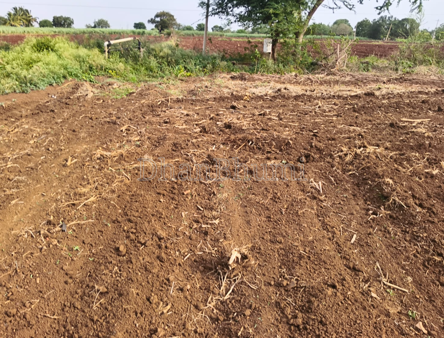 property_images/agricultural_in_bidar_1785307513_6a69a1793feeb.png
