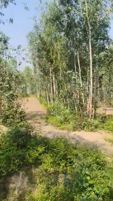 property_images/agricultural_in_bijnor_1785921906_6a73017239de1.png