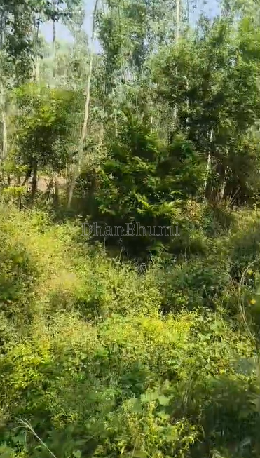 property_images/agricultural_in_bijnor_1785921906_6a7301726a7e2.png