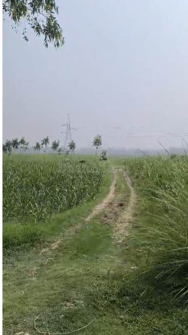 property_images/agricultural_in_bijnor_1785922421_6a7303758dd2c.png