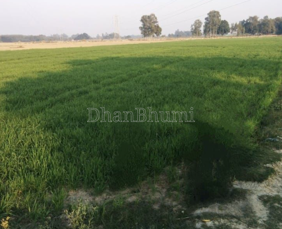 property_images/agricultural_in_bijnor_1792135636_6ad1d1d40462f.PNG