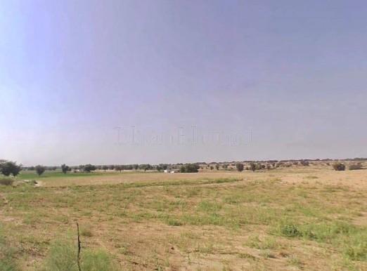 property_images/agricultural_in_bikaner_1780571720_6a215e48ca3fc.jpg