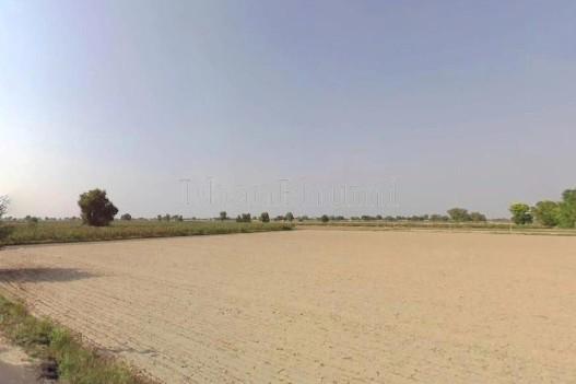 property_images/agricultural_in_bikaner_1780572138_6a215fea25f0b.jpg