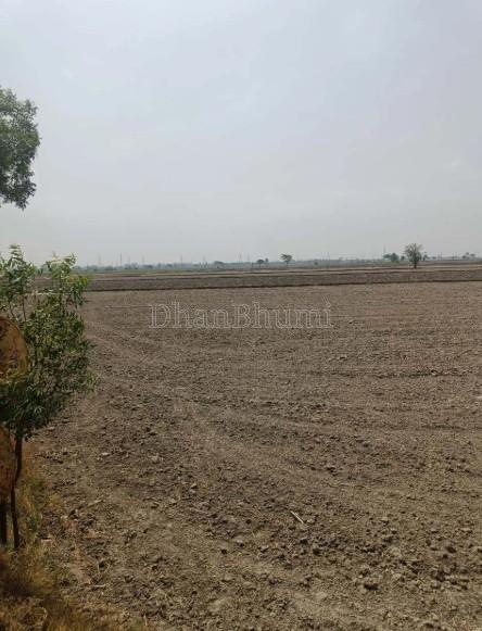 property_images/agricultural_in_bikaner_1780573236_6a21643439693.jpg