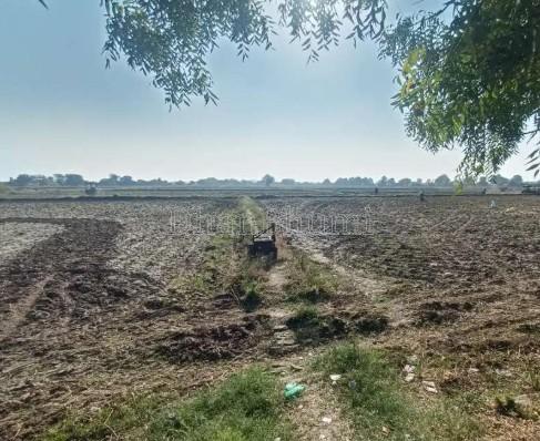property_images/agricultural_in_bikaner_1780573824_6a2166802fa0a.jpg