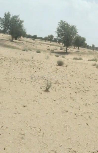 property_images/agricultural_in_bikaner_1782293701_6a3ba4c54e071.jpg